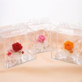 ガラスの靴 プリザーブドフラワー 花 【8色から選べる】 天然石 カルセドニー ｜ 誕生日 プレゼント 女性 彼女に人気のシンデレラ風フラワーギフト ｜ 推しカラー 赤 青 ピンク 紫 黄色 緑 白 オレンジ ケース入り リボン付 花婚式 結婚4周年 【花ソムリエ】