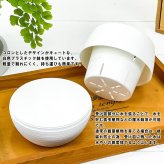 PLANCHU 観葉植物 ガジュマル 3号丸鉢 受け皿付き 育て方説明書付き Ficus microcarpa フィカス ミクロカルパ 精霊の宿る木