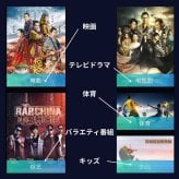 【中国版】シャオミ Xiaomi Mi box 4c 小米盒子4c  TVボックス 中国テレビ番組視聴 メディアプレーヤー MDZ-20-AA ブラック 当店限定USBメモリ付 在日中国人 中国からの留学生やビジネスマン【国内利用サポートなし / 中級者以上向け / 現状渡し / 並行輸入品】