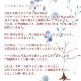 プリザーブドフラワーアレンジメント 【Delight lemon】 黄色と白の優しい色で華やかなプリザーブドフラワーのアレンジメント 御祝いやプレゼントにおススメ。プリザーブドフラワー 誕生日 花 プレゼント お礼 お祝い 本物 ギフト メッセージ ガラスドーム 送料無料 お礼 プリザーブド プレゼント おしゃれ リビング インテリア 枯れない花 土日発送 母の日 敬老の日 お中元 お歳暮