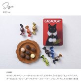 CACAOCAT カカオキャット ミックス缶 14個入り RED NR-03857 ボンボンショコラプレミアムチョコレート/アソート/ギフト プレゼント/北海道/クリスマス/バレンタイン/かわいい猫チョコ/ねこ/DADACA/