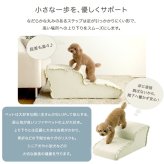 ペットステップ 2段 犬用階段 ドッグステップ 小型犬 シニア犬 老犬 ソファ ベッド 昇り降り 足腰サポート 洗えるカバー 中生地防水 ベロア フリル おしゃれ 北欧 本体日本製 【Chammy チャミー】