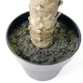 観葉植物 造花 アガベ アテナータ BROWN 全高約70cm 卓上・小型 フェイクグリーン 本物そっくり おしゃれ インテリア 人工観葉植物 アーティフィシャルグリーン オフィス 店舗 ホテル 開店祝い 室内 ミニ 多肉植物 フェイク