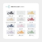 【名前入り】 サーフポンチョ Lサイズ 名入れ ネーム刺繍 おすすめ 男女兼用 メンズ レディース 今治 速乾 大人 キッズ シンプル 誕生日 プレゼント ギフト サーフィン サーファー バレンタイン ホワイトデー