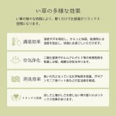 夏ラグ 夏用カーペット 上敷き ゴザ 敷詰 カーペット い草 自然素材 日本製 国産 消臭 抗菌防臭 麻の葉 レトロ 和 江戸間2畳 約174×174cm