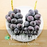 種なし巨峰　ぶどう　贈答用　約1kg　2-3房　長野県産　プレゼント　フルーツ　ギフト　お礼　お見舞い　お供え
