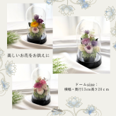 プリザーブドフラワー仏花 ～凜華（りんか）～ドーム型 輪菊 お彼岸 お盆 お仏壇 お悔み 命日 法要 新盆 初盆 法事 ドーム型 枯れない花 供養 ギフト