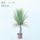 観葉植物 造花 ユッカ BROWN 全高約85cm 中型 フェイクグリーン 本物そっくり おしゃれ インテリア 人工観葉植物 アーティフィシャルグリーン オフィス 店舗 ホテル 開店祝い 室内 青年の木 エレファンティペス フェイク