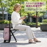 SWANY モラ 座面付きショッピングキャリー お買い物 キャリー ショッピングキャリー 普段使い 使いやすい レディース ギフト プレゼント グレー d723l21