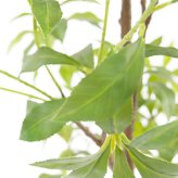観葉植物 造花 アセビ BROWN 全高約210cm 大型 フェイクグリーン 高級 本物そっくり リアル おしゃれ 和風 和モダン インテリア 人工観葉植物 アーティフィシャルグリーン オフィス 店舗 ホテル 旅館 開店祝い 室内 リビング 玄関 風水 庭木 馬酔木
