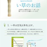 夏ラグ 夏用カーペット い草ラグ カーペット 約3畳 長方形 『DXノース』 約176×230cm （裏:不織布） 新生活