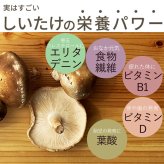 しいたけパウダー 130g×1袋 国産 [cocofukuシリーズ] 国産 無添加 しいたけ 椎茸 粉末 だし 出汁 離乳食 減塩 ビタミンD 旨味 ダイエット 干しいたけ 調味料 健康 コレステロール エリタデニン 食物繊維 カリウム 鉄分 葉酸 (omb10118)