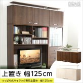 ラック DEALS-ディールズ- 上置き125cm DSP-UE125--WOK ホワイトオーク ホームテイスト ディスプレイ 壁面収納 コレクション 上置き つっぱり棒付き 新生活