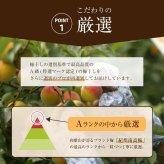 【特選紀州南高梅】【しそ漬梅250g×2パック（塩分約20％）】【無添加】しそと塩のみで漬けた昔ながらの梅干し つけもの 梅干し ギフト プレゼント 内祝