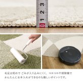 ラグ カーペット 国産高機能 ジャスト 防ダニ 抗菌 防臭 抗ウイルス 消臭 花粉対策 日本製 オールシーズン ホット 床暖房対応 おしゃれ 長方形 約190×190cm