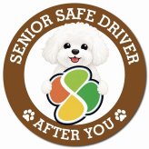 カーサイン 高齢者マーク SENIOR SAFE DRIVER ビションフリーゼ マグネット 強力 直径13cm 肉球 日本製 車 ステッカー