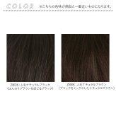 プリシラ 部分 ウィッグ prisila ST-102 通販 かつら 女性 レディース 部分ウィッグ ポイントウイッグ ヘアピース ポイントウィッグ ウイッグ 頭頂部 つむじ 白髪隠し 白髪かくし カツラ 人毛100% 人 毛 100 ロング 増毛部分かつら