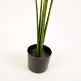 観葉植物 造花 カンナ BROWN 全高約165cm 大型 スリム フェイクグリーン 高級 本物そっくり リアル おしゃれ インテリア 人工観葉植物 アーティフィシャルグリーン 南国 オフィス 店舗 ホテル 開店祝い 室内 リビング 玄関 寝室 風水 フェイク