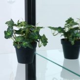 推し活 棚 推し活収納 不二貿易 ガラス コレクションケース 6段 4枚扉 扉付き ブラック 強化ガラス 板 高さ180cm 幅70cm 奥行35cm 大型収納 必見 新生活