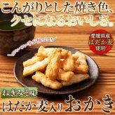 はだか麦とねぎ味噌のあられ 3袋 あられ 和菓子 おつまみ おやつ お茶請け 米菓 ポスト投函便