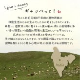 ラグ カーペット マット 玄関 玄関マット おしゃれ 40x60cm シンプルギャッベマット HOT対応 アヤカ 北欧 モダン シンプル デザイン かわいい かっこいい ギャッベ インド製 ホット 床暖 OK 送料無料 手織り 肌触り