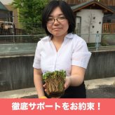 【肥料プレゼント中】 クラピア K5 薄桃品種 9cmポット苗  40鉢セット 植栽マニュアル付き イワダレソウ改良種 グランドカバー 植物 プランツ 薄ピンクの花 庭 屋上 緑化 K7と同程度の耐寒性 多年草 地被植物 ほふく性 下草 背が低い 宿根草 diy ガーデニング