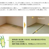 夏ラグ 夏用カーペット 純国産 い草 上敷き カーペット 双目織 『草津』 江戸間3畳(約176×261cm）