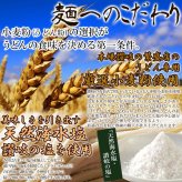 香川 讃岐うどん レンジで簡単 カレーうどん 4食セット ゆでうどん 個包装 レンジ調理 簡単 カレー スープ ポスト投函便