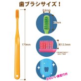 Ci PRO PLUS スパイラル 歯ブラシ Sやわらかめ 20本入 プロプラス スパイラル【Ciメディカル 歯ブラシ】【メール便選択で送料無料】