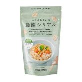 シリアル 10袋セット 岩手県産 穀物 10種 ミックス 無添加 砂糖不使用 グラノーラ オートミール 朝食 ダイエット 健康食品 雑穀米 離乳食 介護食 食物繊維 美容 置き換え 常温保存