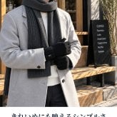 2026 最新 ポロ ラルフローレン 手袋 メンズ ブランド POLO RALPH LAUREN スマートフォン対応 ロゴ 無地 PC0494 黒 青 ネイビー グレー 選べるモデル