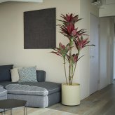 観葉植物 造花 ドラセナ パープル BROWN 全高約180cm 大型 フェイクグリーン 高級 本物そっくり リアル おしゃれ 赤 紫 インテリア 人工観葉植物 アーティフィシャルグリーン モダン オフィス 店舗 ホテル 開店祝い 室内 リビング 玄関 風水 フェイク