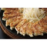 特選はままつ餃子(45個)  ／餃子 中華惣菜・点心 惣菜・レトルト 食品 敬老の日 プレゼント ギフト お彼岸 お供え 秋 送料無料 取り寄せ グルメ 産地直送 センター スイーツ お菓子 高級 ご飯 食品 飲料 おかず つまみ おやつ