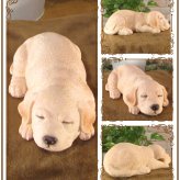 犬　置物 リアル　ラブラドールレトリバー　お昼寝中　いぬ　動物オブジェ　ガーデン　オーナメント　店舗　カウンター　装飾　オブジェ　インテリア　玄関先　庭　犬好きさん人気ギフト　動物人気ギフト　クリスマスプレゼント　お誕生日祝い　母の日人気　父の日人気　敬老の日人気