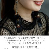 ピアス 羽根 フェザー 羽飾り（黒×目玉羽）レディース メンズ ビジュー チェーン ハロウィン コスプレ クリスマス パーティーウエディング バンド ライブ 衣装 痛くなりにくいアクセサリー プレゼント