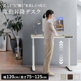 電動昇降デスク 幅120cm テーブル ワークデスク『電動昇降デスク SD』高さメモリー機能 高さ調整 USB付き おしゃれ 電動昇降テーブル PCデスク パソコンデスク オフィスデスク ゲーミングデスク 昇降デスク 昇降テーブル 電動 昇降 デスク