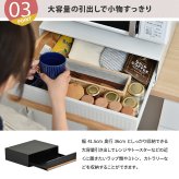TREE  家電下引き出し収納スライドテーブル TRKS0243 レンジ下収納  キッチン収納 シンプルスタイル モダン 角型 スチール おしゃれ 幅45cm 奥行39cm 高さ14cm