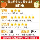１０月下旬頃から発送開始　青森りんご 紅玉 こうぎょく ●家庭用10C箱(10kg箱:約36～50個入)