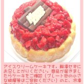 クリスマスいちごアイスケーキ【4～7号】 ［クリスマスケーキ クリスマスデコレーション クリスマスいちごケーキ］