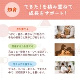 【名入れ】【型はめパズル】【出産祝い】【1歳誕生日プレゼント】【恐竜（ティラノサウルス・ステゴサウルス・トリケラトプス・ブロントサウルス）】ギフト/ラッピング無料/木のおもちゃ/木製玩具/無塗装/積み木/ごっこあそび/赤ちゃん/男の子/女の子 『ブロットプロジェクト|PICTO TSUMIKI - The Jurassic & puzzle』