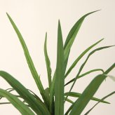 観葉植物 造花 ユッカ BROWN 全高約160cm 大型 フェイクグリーン 本物そっくり おしゃれ インテリア 人工観葉植物 アーティフィシャルグリーン オフィス 店舗 ホテル 開店祝い 室内 青年の木 エレファンティペス フェイク