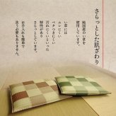 日本製 い草 座布団 クッション ブロック柄 2枚組 約55×55cm ブロック柄のい座布団 国産 抗菌防臭 消臭 ウレタン 座ぶとん ざぶとん フロアクッション 和室クッション 寝具 寝室用品 インテリア ウレタンフォーム クッション性 汚れにくい 新生活