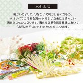 正月飾り おしゃれ 水引 リース しめ縄 注連縄 しめ飾り お正月飾り 玄関 モダン 国産 長生堂オリジナル 松に鶴 フック付き 迎春 お正月飾り 干支 十二支 門松 .リース.