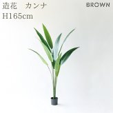 観葉植物 造花 カンナ BROWN 全高約165cm 大型 スリム フェイクグリーン 高級 本物そっくり リアル おしゃれ インテリア 人工観葉植物 アーティフィシャルグリーン 南国 オフィス 店舗 ホテル 開店祝い 室内 リビング 玄関 寝室 風水 フェイク