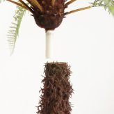 観葉植物 造花 ディクソニア BROWN 全高約183cm 大型 フェイクグリーン 高級 本物そっくり リアル おしゃれ 珍しい インテリア 人工観葉植物 アーティフィシャルグリーン オフィス 店舗 ホテル 開店祝い 室内 リビング 玄関 風水 木性シダ