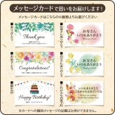 せいこ蟹 甲羅盛り 【数量限定】 越前がに 海鮮 詰め合わせ 福井県産 【冷凍便】美味しい贈物 お歳暮 ギフト
