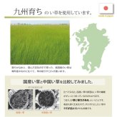 ラグ カーペット 純国産 い草玄関マット 『Fランクス』 約60×120cm（裏:ウレタン）