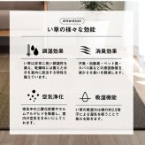 夏ラグ 夏用カーペット ラグ マット 小林製薬 持続性抗菌剤 KOBA-GUARD 制菌 抗菌防臭 滑り止め ウレタン 不織布 夏 い草 グラデーション 約60×180cm