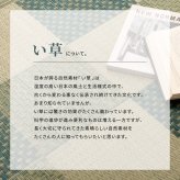 夏ラグ 夏用カーペット い草カーペット うしお 約261×352cm 江戸間 6畳 6帖 敷き詰め 柄上敷き 花ござ い草ラグ 和モダン 市松模様