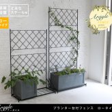 ガーデン エクステリア プランター台付フェンス ロータイプ アーガイル フェンス ゲート 扉 アイアン ガーデニング 枠 柵 仕切り 目隠し 境目 ベランダ つる 薔薇 バラ 朝顔 園芸 ラティス つるバラ 庭 誘引 屋外 新生活